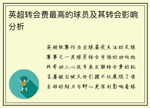英超转会费最高的球员及其转会影响分析