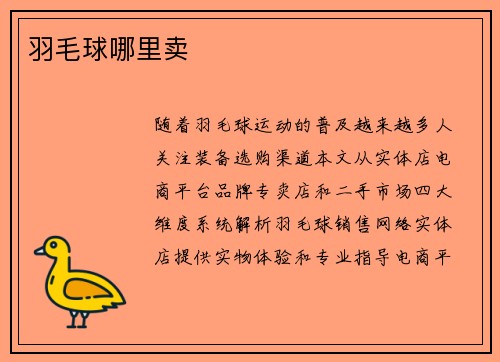 羽毛球哪里卖