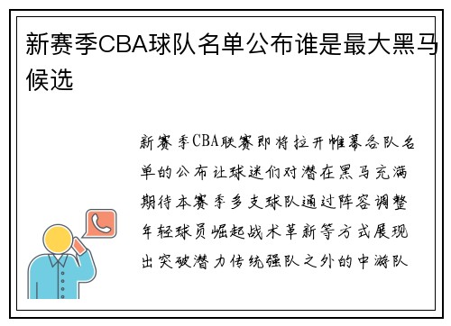 新赛季CBA球队名单公布谁是最大黑马候选